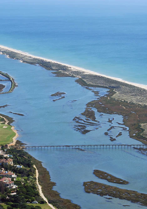Sul Informação - Loulé celebra Dia Nacional da Conservação da Natureza com visita ao sapal da Ria Formosa