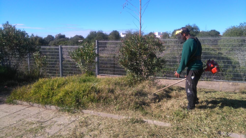 Sul Informação - Reclusos da Cadeia de Olhão limparam terreno de escola na Fuzeta