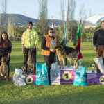 Sul Informação - Cão algarvio é vice-campeão de Portugal em pistagem, obediência e proteção canina