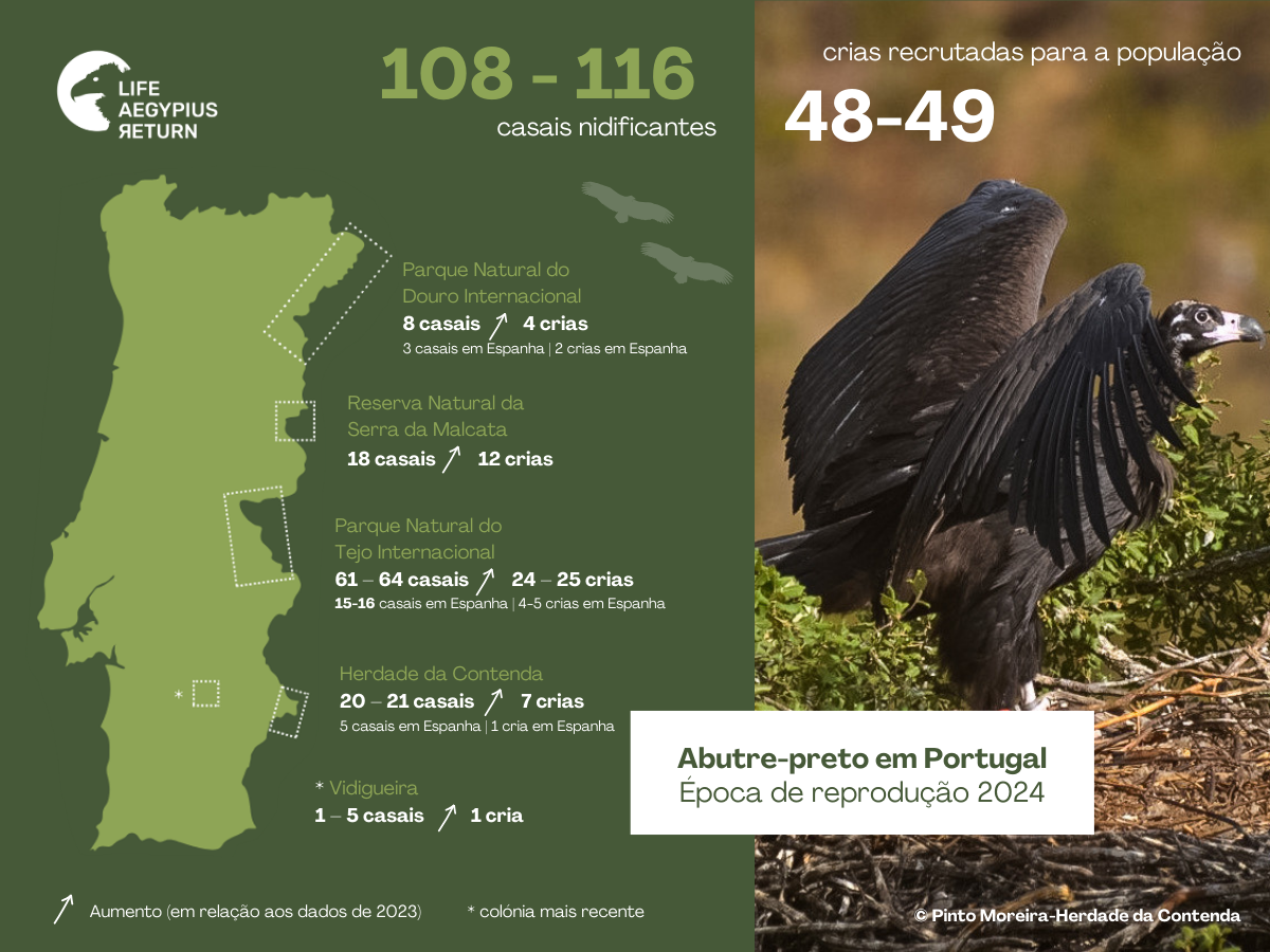 Sul Informação