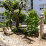 Sul Informação - Museu do Lyceu de Faro faz 1 ano e consagra Manuel Viegas Guerreiro como patrono