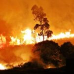 Sul Informação - Há mais bombeiros e sete meios aéreos a combater o incêndio de Monchique (com fotos)