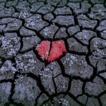 Sul Informação - Lagos já escolheu vencedores do Concurso de Fotografia que abordou questões ambientais