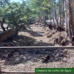 Sul Informação - Sapadores Florestais de São Brás de Alportel completam 5 anos de atividade