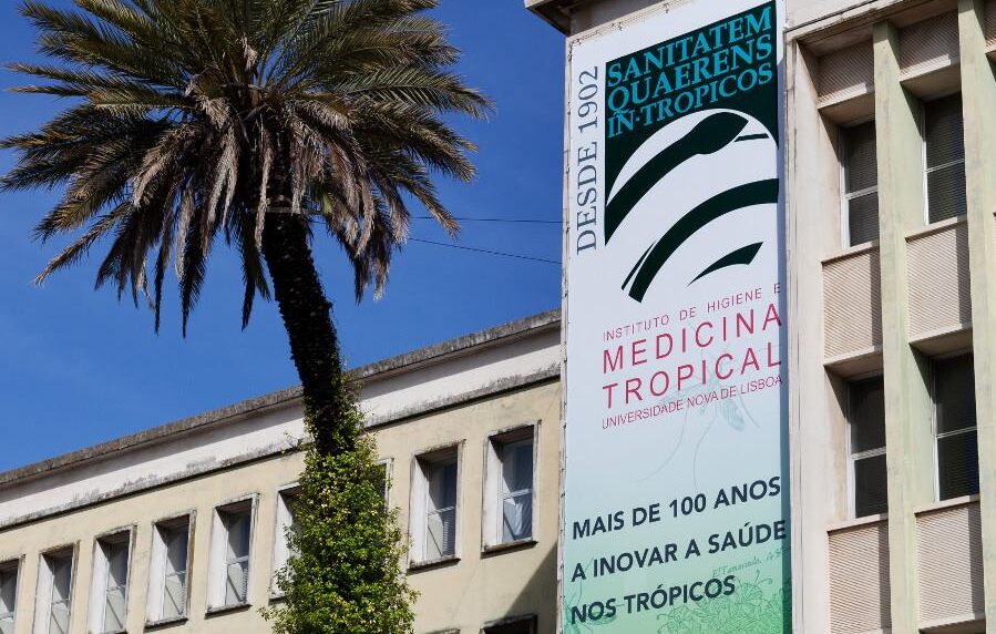 Sul Informação - Especialista alerta para possibilidade de surtos epidémicos de dengue e zika em Portugal