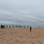 Sul Informação - Marina de Vilamoura celebra São Martinho com Jornadas do Ambiente