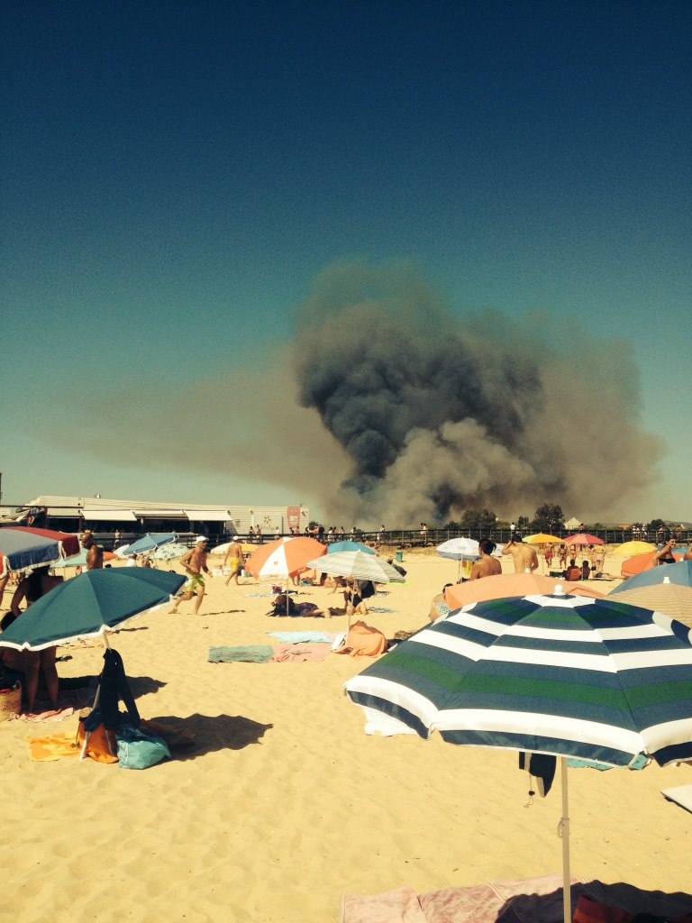 Sul Informação - Incêndio devora mato e canavial em Vilamoura