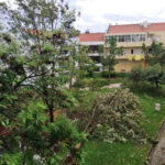 Sul Informação - Tornado derruba árvores, destelha casas e destrói carros em Beja