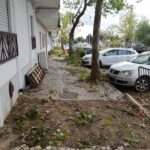 Sul Informação - Tornado derruba árvores, destelha casas e destrói carros em Beja