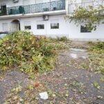 Sul Informação - Tornado derruba árvores, destelha casas e destrói carros em Beja