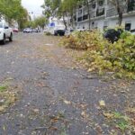 Sul Informação - Tornado derruba árvores, destelha casas e destrói carros em Beja