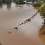 Sul Informação - Inundações desalojam família em Alfandanga e alagam zona industrial de Loulé