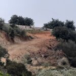 Sul Informação - Dono de terreno junto à Ria Formosa continua a abater árvores apesar do embargo