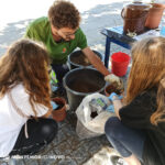 Sul Informação - Escola Básica S. João de Deus plantou alecrim para o Programa Biobairros e a Semana do Ambiente