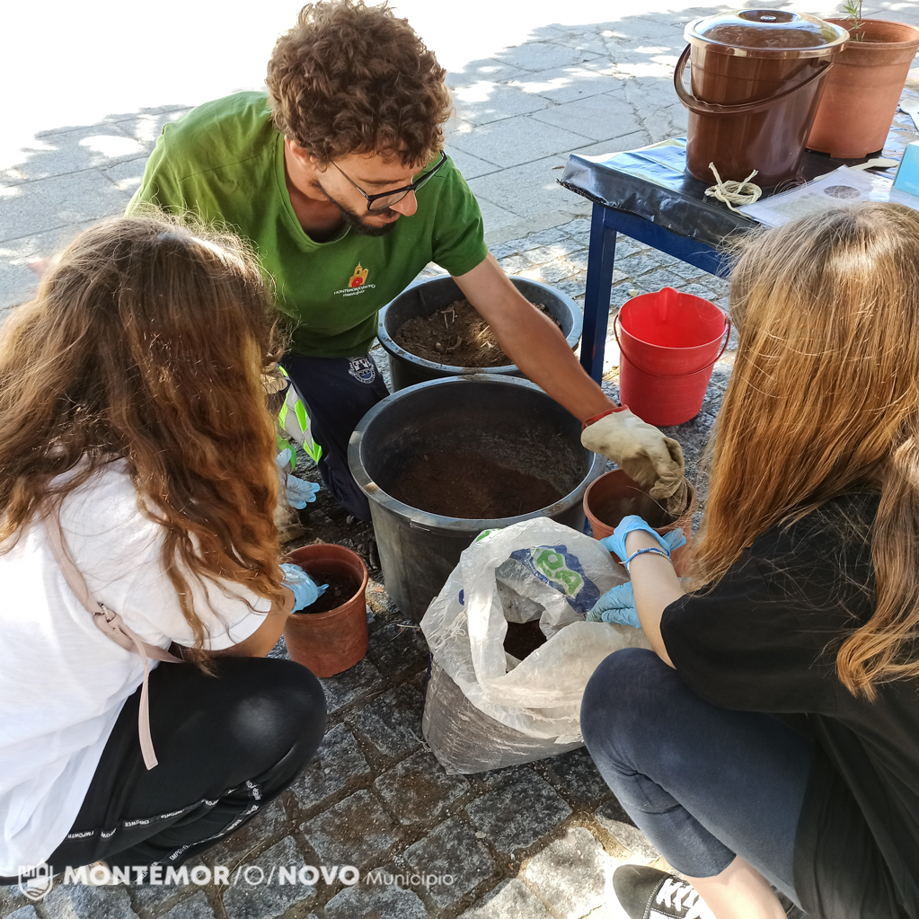 Sul Informação - Escola Básica S. João de Deus plantou alecrim para o Programa Biobairros e a Semana do Ambiente