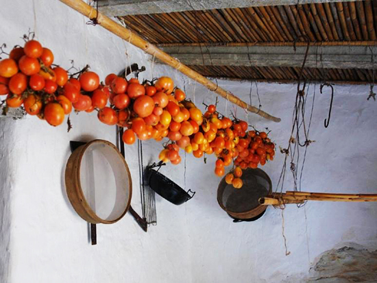 Sul Informação - Cozinhas Mediterrânicas…com tomate de Inverno para fazer e degustar na aldeia da Mealha