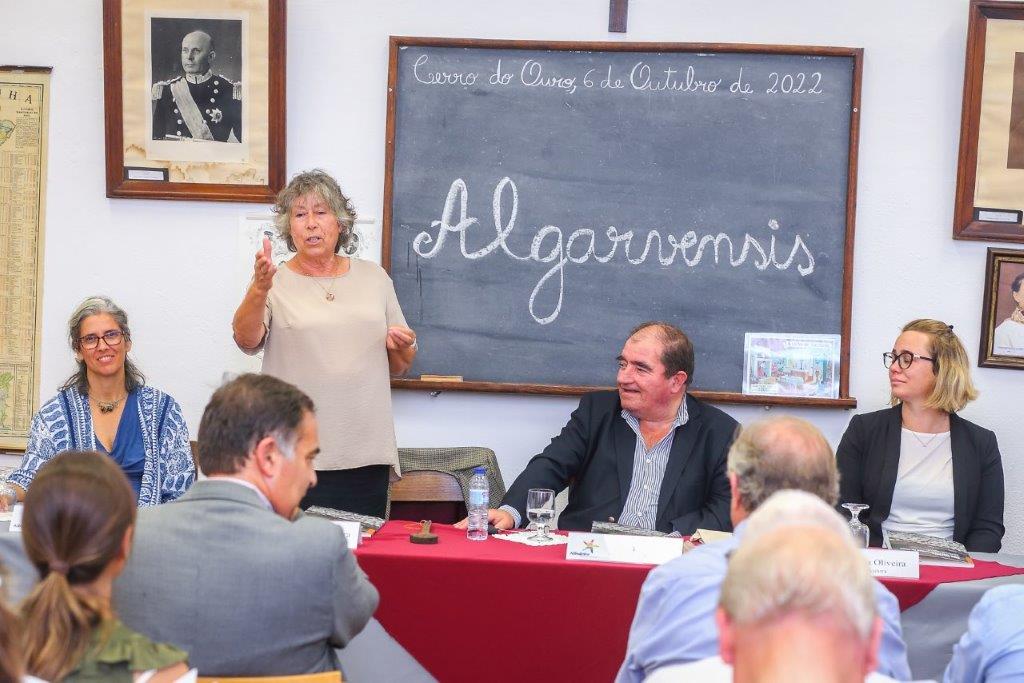 Sul Informação
