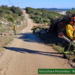 Sul Informação - Sapadores Florestais de São Brás de Alportel completam 5 anos de atividade