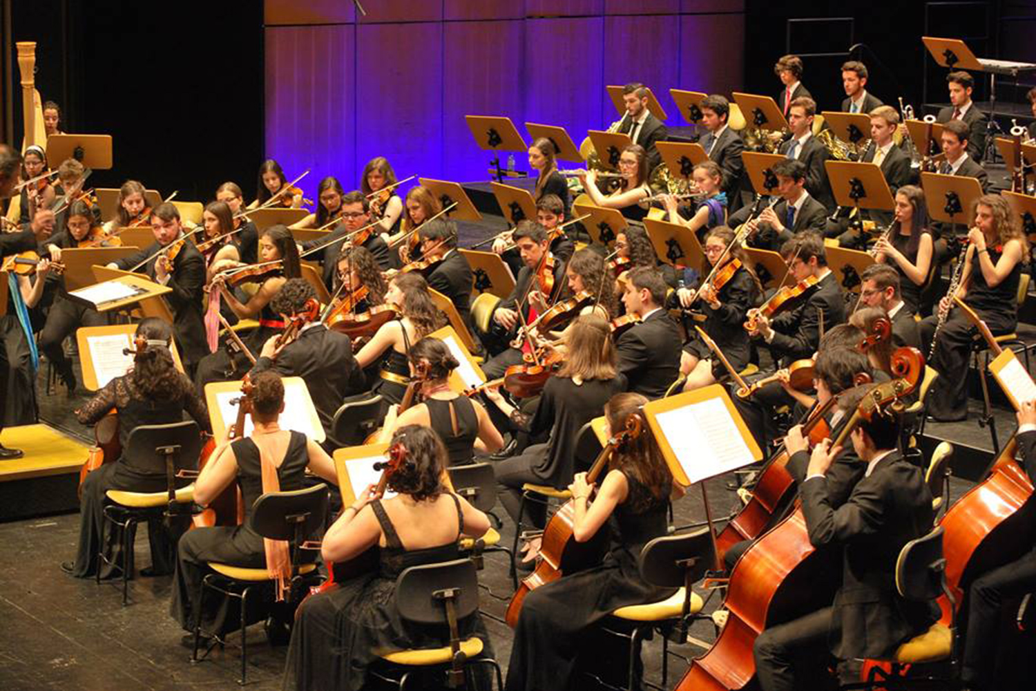 Sul Informação - Orquestra Sinfónica Ensemble leva música ao Jardim Pescador Olhanense