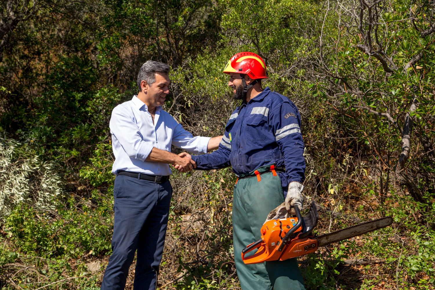 Sul Informação - Reclusos de Olhão estão a limpar mato em zona de risco de incêndio