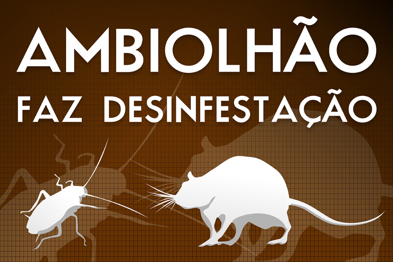 Sul Informação - Ambiolhão volta a abrir “guerra” contra os ratos e as baratas