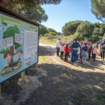Sul Informação - Já abriu o Circuito Educativo do Parque de Desporto e Lazer dos Pinheiros de Marim