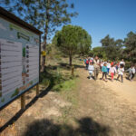 Sul Informação - Já abriu o Circuito Educativo do Parque de Desporto e Lazer dos Pinheiros de Marim