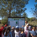 Sul Informação - Já abriu o Circuito Educativo do Parque de Desporto e Lazer dos Pinheiros de Marim