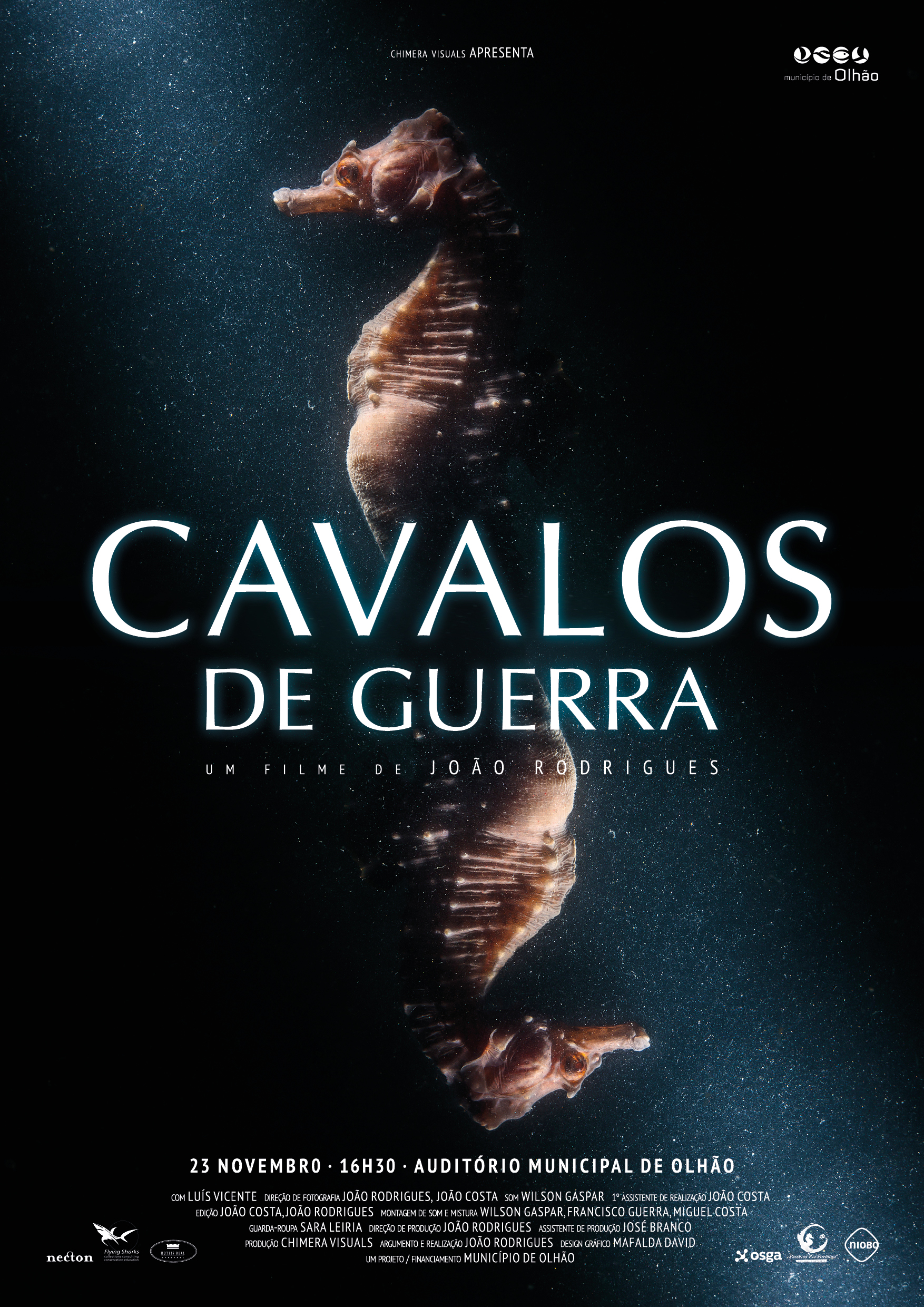 Sul Informação - Ministro do Mar assiste à estreia do filme «Cavalos de Guerra» em Olhão