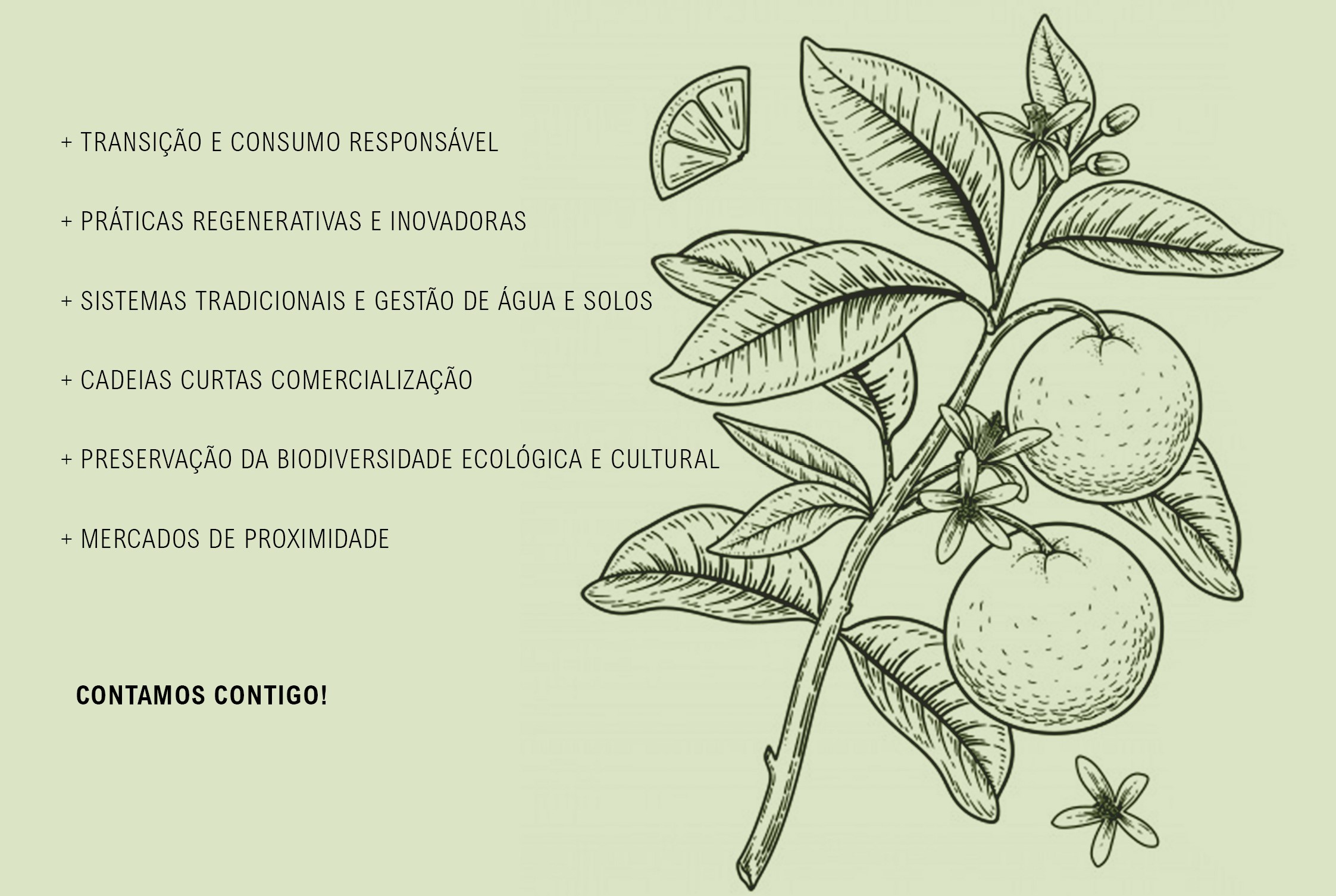 Sul Informação - Cidadãos pelo CEAT promovem debate online sobre agroecologia