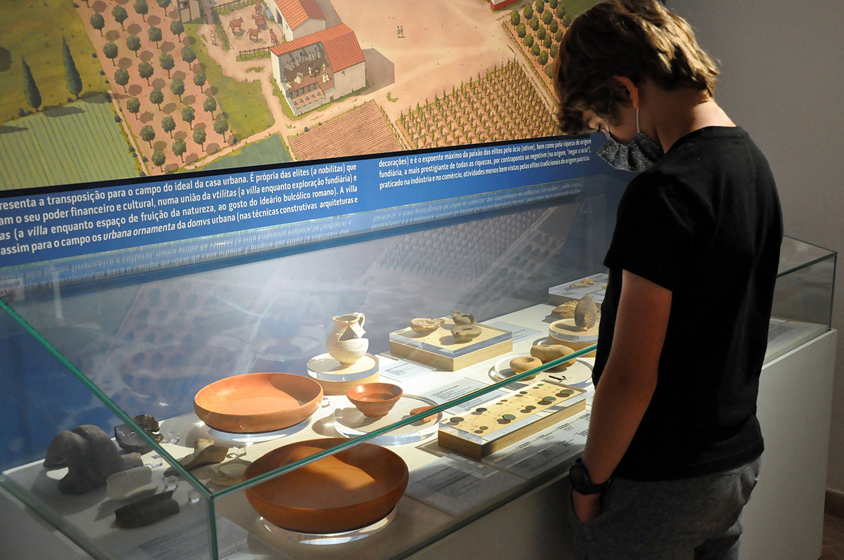 Sul Informação - Museu de Arqueologia de Alvalade é um espaço de “Memórias da terra, das águas e dos povos”