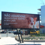 Sul Informação - Município de Olhão lança campanha contra abandono de animais nas férias