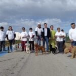 Sul Informação - Utentes da ASMAL passeiam animais do canil municipal de Olhão