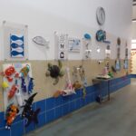 Sul Informação - Peixes coloridos vão estar em exposição no Mercado Municipal de Portimão