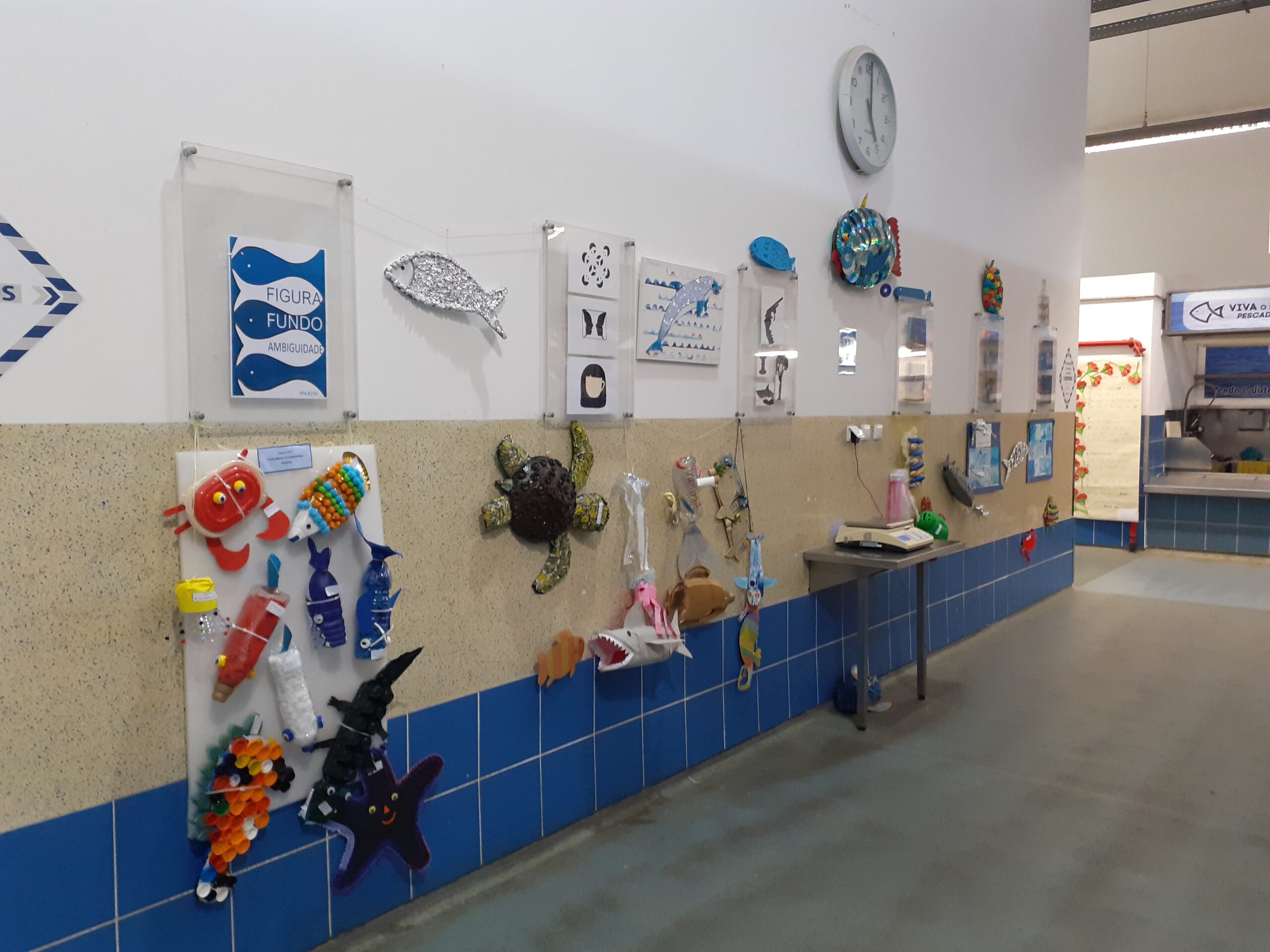 Sul Informação - Peixes coloridos vão estar em exposição no Mercado Municipal de Portimão