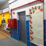 Sul Informação - Peixes coloridos vão estar em exposição no Mercado Municipal de Portimão