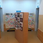 Sul Informação - Peixes coloridos vão estar em exposição no Mercado Municipal de Portimão