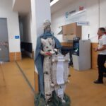 Sul Informação - Peixes coloridos vão estar em exposição no Mercado Municipal de Portimão