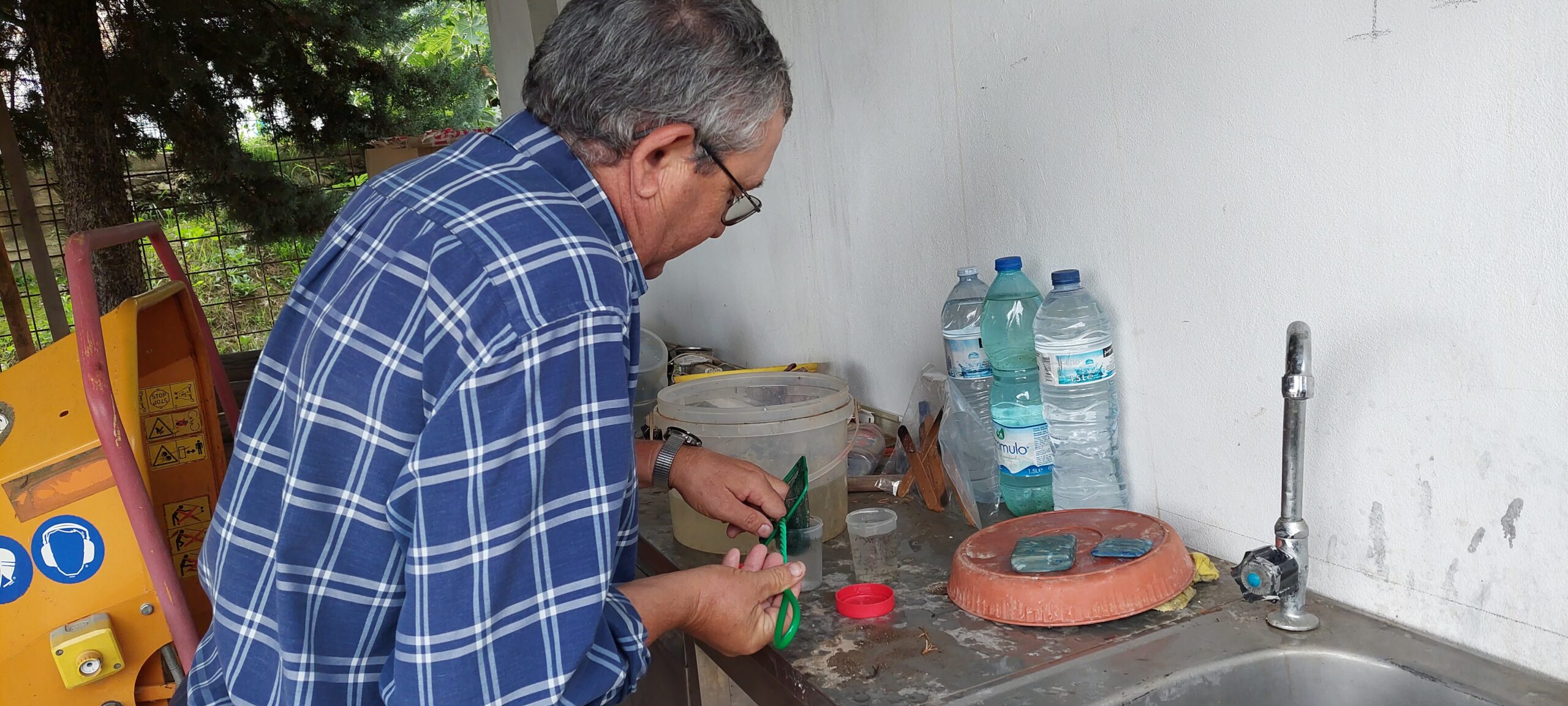 Sul Informação - Moura aposta na divulgação de conhecimento sobre espécies de mosquitos