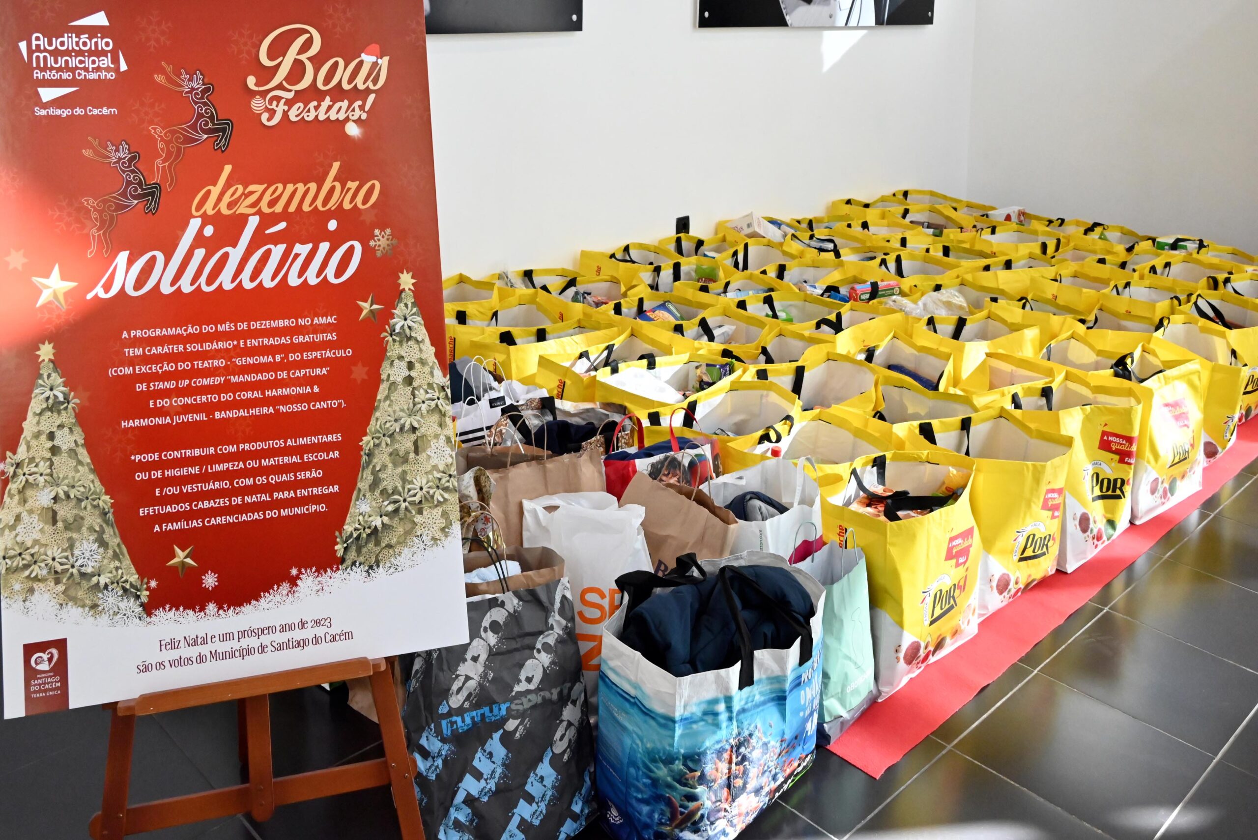 Sul Informação - Santiago do Cacém ajuda 66 famílias com o “Dezembro solidário”