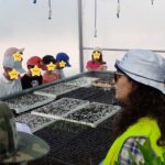 Sul Informação - Alunos de Tavira visitam viveiros municipais no âmbito do Dia Nacional dos Jardins
