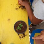 Sul Informação - Alunos de Tavira visitam viveiros municipais no âmbito do Dia Nacional dos Jardins