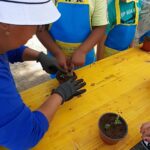 Sul Informação - Alunos de Tavira visitam viveiros municipais no âmbito do Dia Nacional dos Jardins