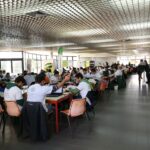 Sul Informação - Estudantes de agronomia “bombaram” durante 24 horas