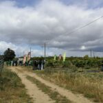 Sul Informação - Estudantes de agronomia “bombaram” durante 24 horas