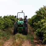 Sul Informação - Estudantes de agronomia “bombaram” durante 24 horas