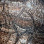 Sul Informação - Uma viagem ao interior da terra…que foi mar