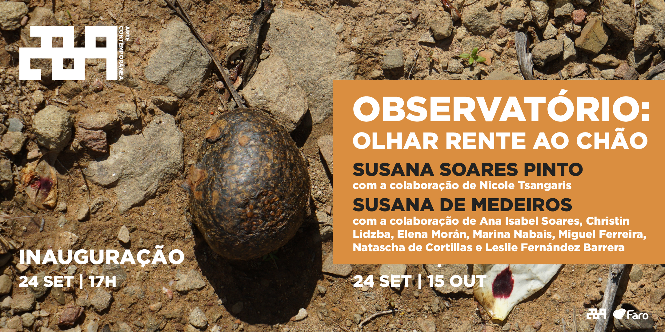 Sul Informação