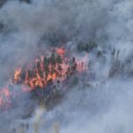 Sul Informação - Dois canadairs, dois aviões ligeiros e três helicópteros ajudaram a controlar fogo na Serra de Monchique