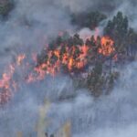 Sul Informação - Dois canadairs, dois aviões ligeiros e três helicópteros ajudaram a controlar fogo na Serra de Monchique